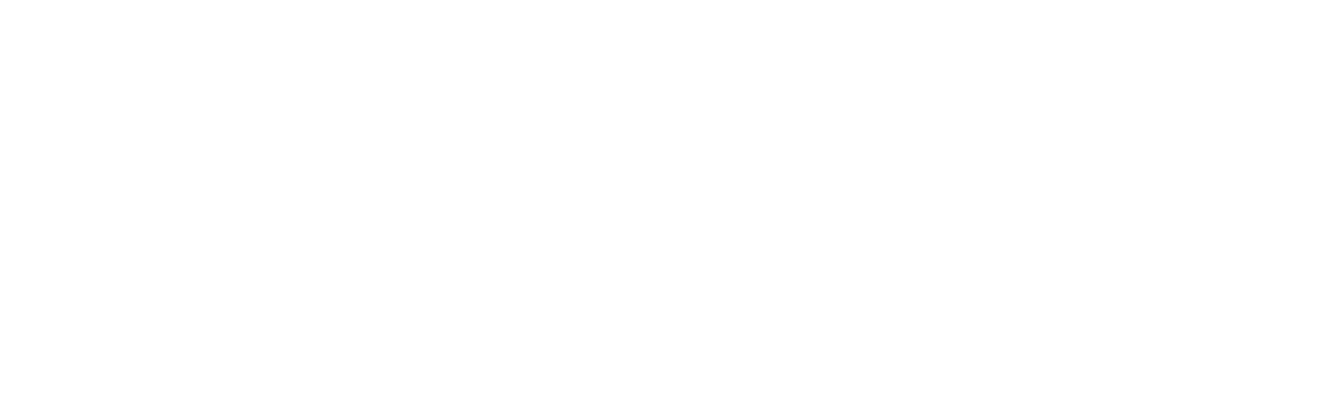 SnapOrder Light Offerta